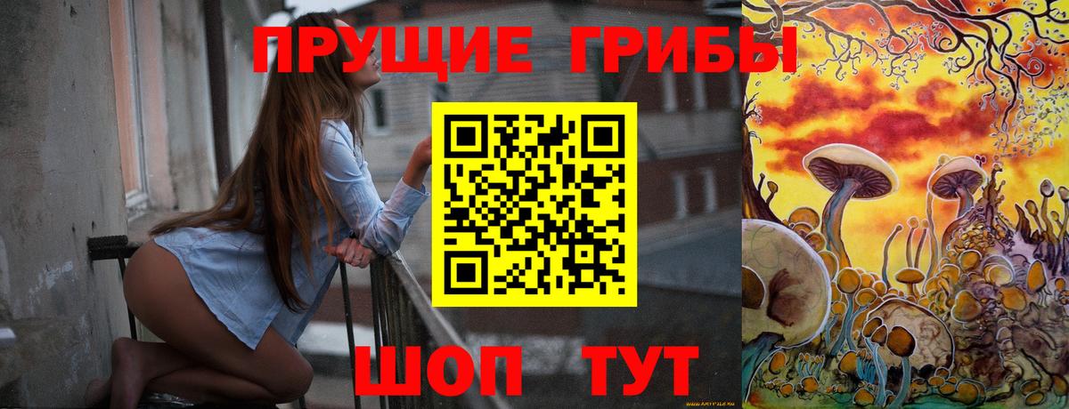 Галлюциногенные грибы GOLDEN TEACHER  Вход с VPN  наркошоп  Арсеньев 