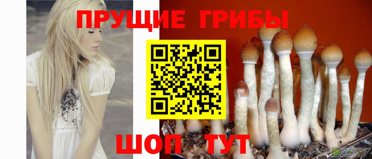 Псилоцибиновые грибы ЛСД Арсеньев